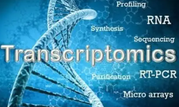 RNA 测序的指纹识别