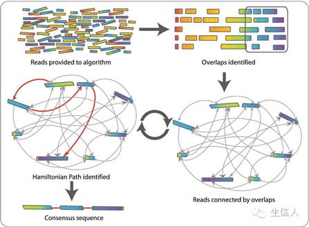 DISCOVAR使用介绍