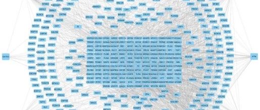 SNP突变带给乳腺癌的影响