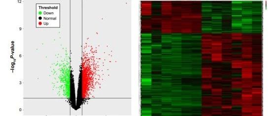 最新套路，仅剩10席