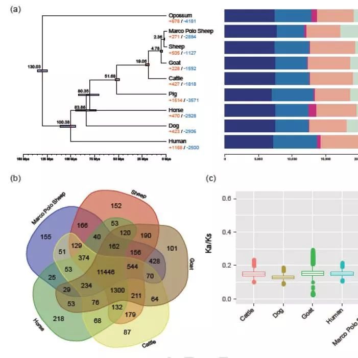 推广：调控性非编码RNA以及微型生物信息分析平台构建学习班