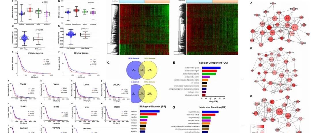 有深度的生信分析套路（3+），接受预定