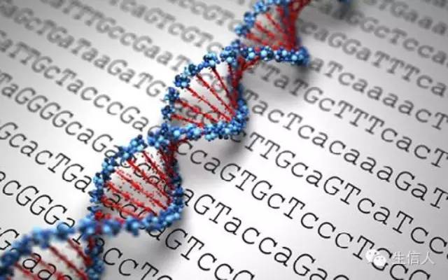 DNA序列的常见分析