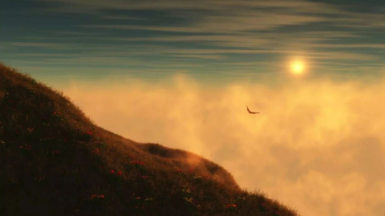 国外生信公司一览表