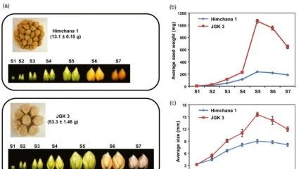 带上你的数据，跟我一周“玩转”植物生物信息