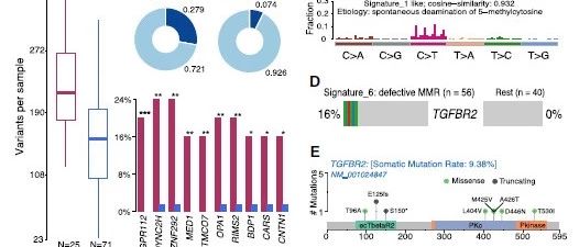 深度多组学联合分析套路分析（5+），接受预定