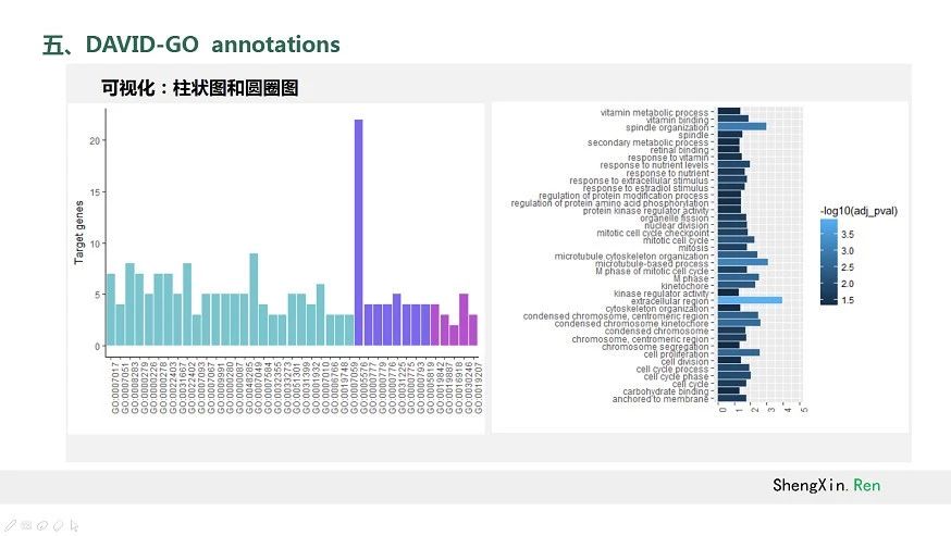 不用动脑就能发SCI的生信分析视频，要不要来一份。