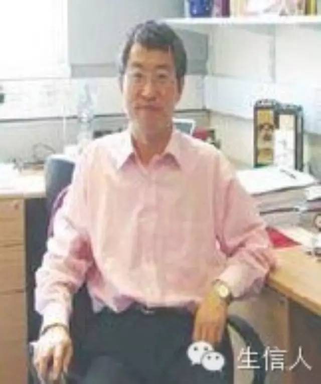 paml使用手册（二）