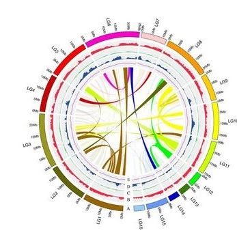 开工第一课，生信有干货