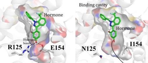计算生物学分析服务，上新