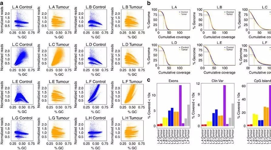 干货|全基因组测序鉴定癌细胞突变文章综述
