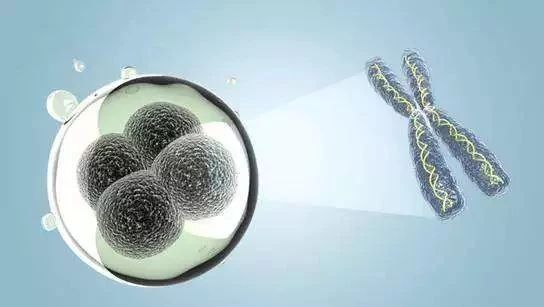 盘点单细胞转录组分析的那些坑