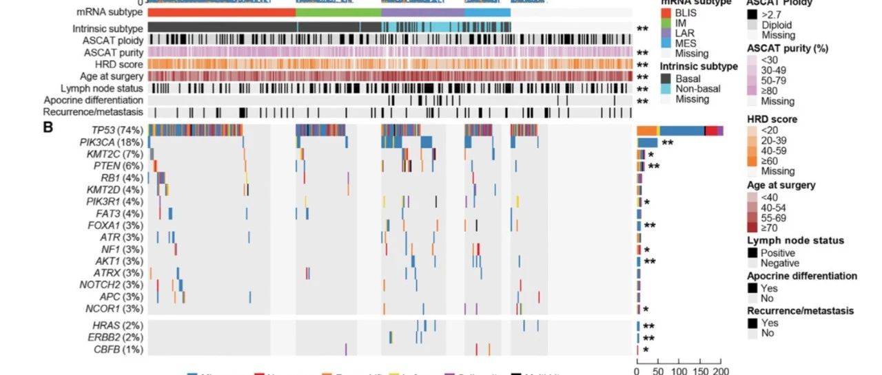 Cancer Cell|三阴乳腺癌多组学分型
