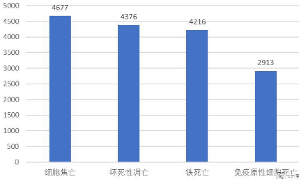 研究免疫原性细胞死亡的最好时机便是现在