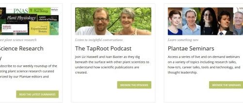 2019年植物学会议年历