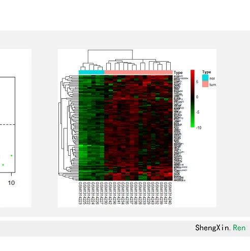 转录组专题研讨班
