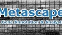 比DAVID强一万倍的基因注释工具