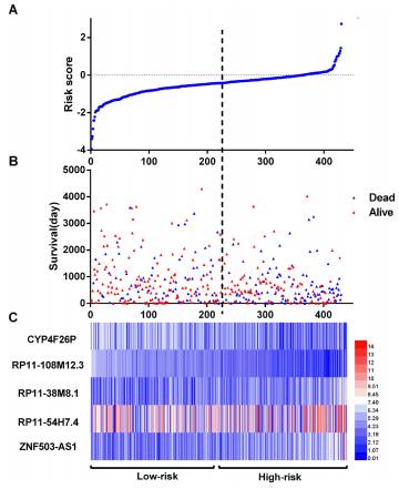 新手在TCGA中怎么找各类样本