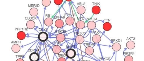 单基因、单癌型如何深入研究