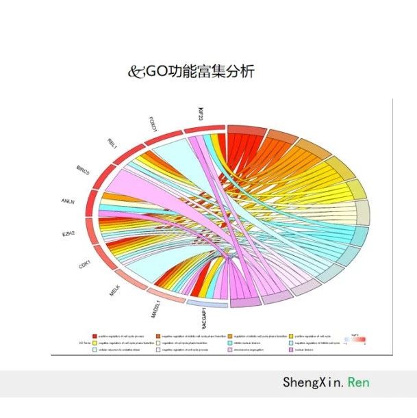 ceRNA立减101，优惠继续