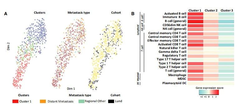 Molecular Oncology|黑色素瘤免疫微环境+DNA甲基化