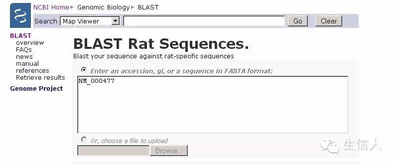 blast软件的使用