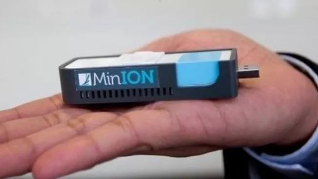 NBT|最小测序仪搞定大基因组