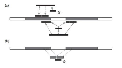 Tophat2比对原理及命令