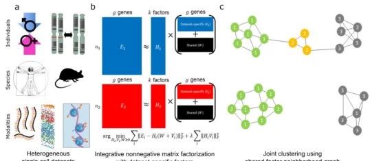 CRISPR单碱基编辑大量脱靶,纳米孔黑科技可直接测RNA