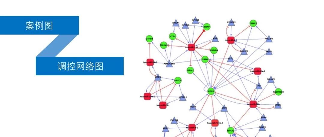 测序与芯片高通量数据挖掘与分析学习班（理论+实践课）
