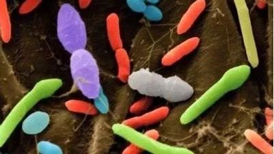 16S rRNA OTU标准聚类阈值（97%）过时了？