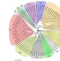 推广：开学季—2017年9月培训班安排
