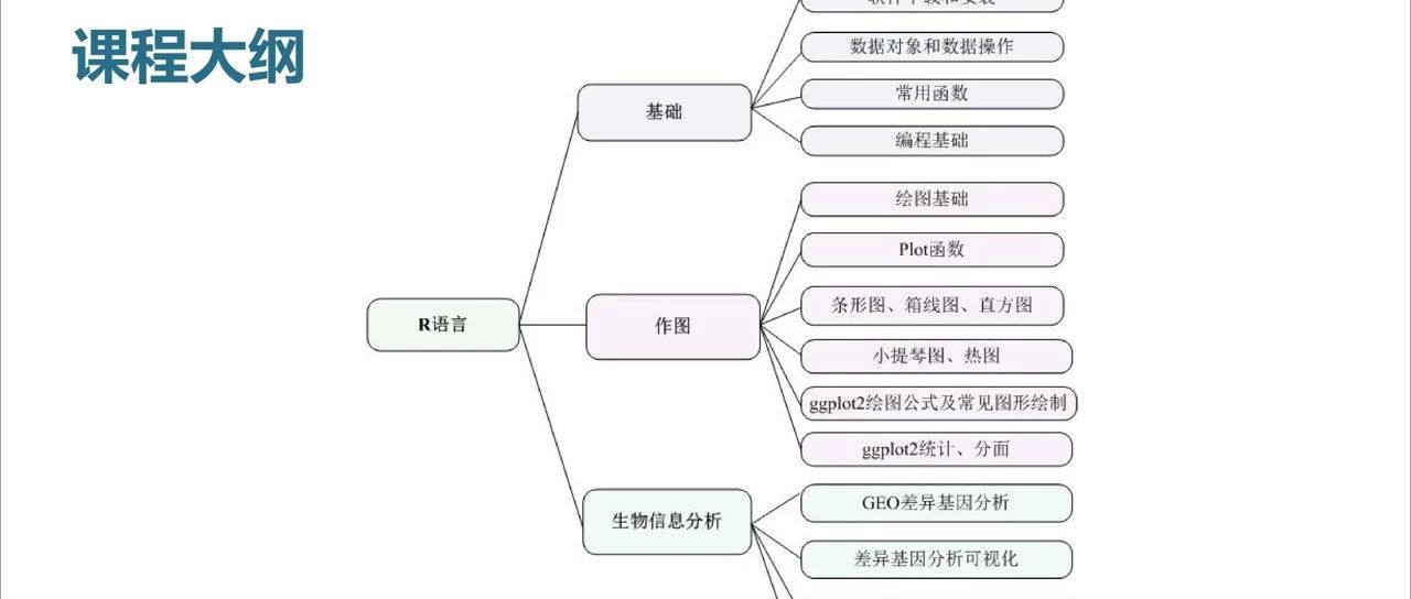 R语言数据分析和画图基础讲解