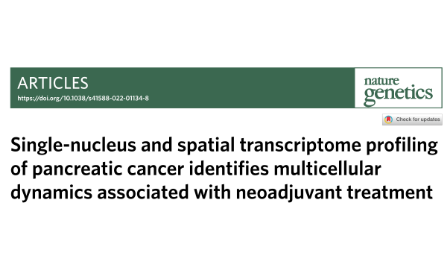 胰腺癌的单核和空间转录组分析确定了与新辅助治疗相关的多细胞动态变化