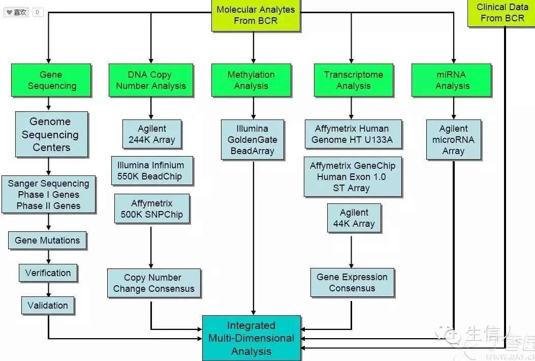 收藏|下载TCGA数据的工具汇总