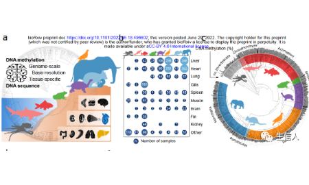 2022年6月biorxiv生信好文速览