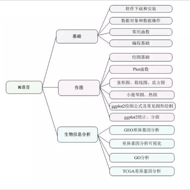 R语言数据分析和画图基础讲解