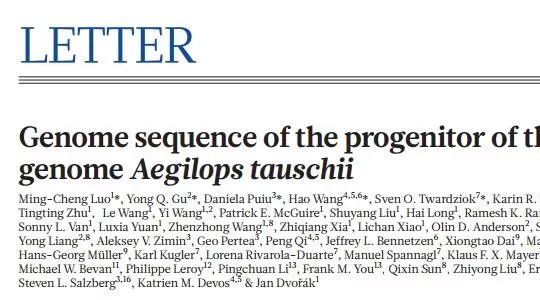 时隔四年小麦D基因组再等Nature