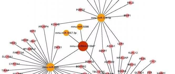 做circRNA研究的宝宝们一定要知道的数据库！