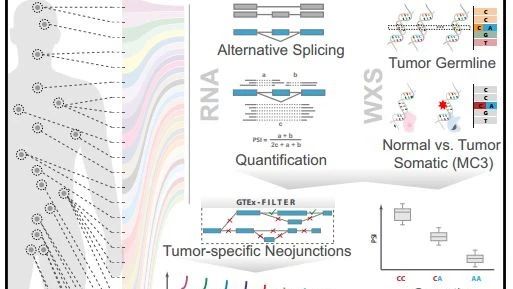 癌症相关可变剪切的深度分析~~