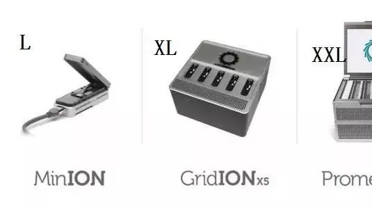刷遍朋友圈的nanopore到底是个啥？