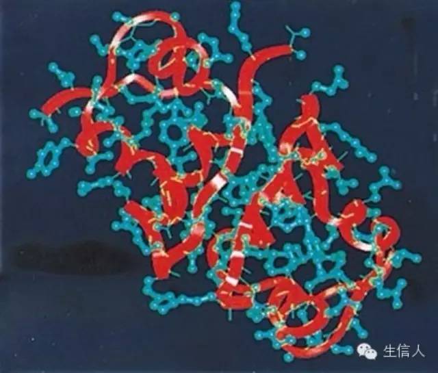 蛋白组学介绍（稿）