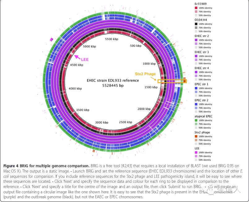 细菌基因组分析综述
