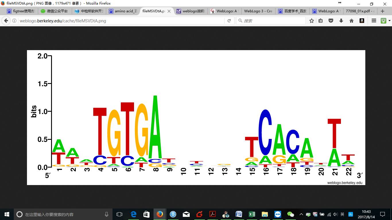 Weblogo使用操作指南