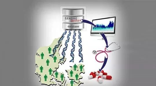 泛基因组（Pangenome）测序知多少