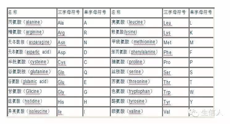 氨基酸简写和密码子表