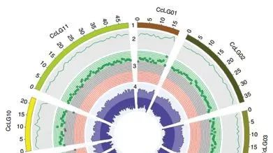 NG|木豆 GWAS解读
