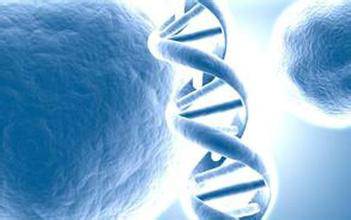 推广：第四届全国计算生物学与生物信息学学术会议