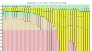 论转录组组装之前的数据预处理