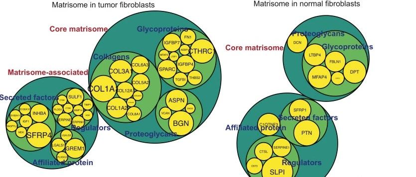 Clinical Cancer Research|胃癌单细胞测序和免疫微环境